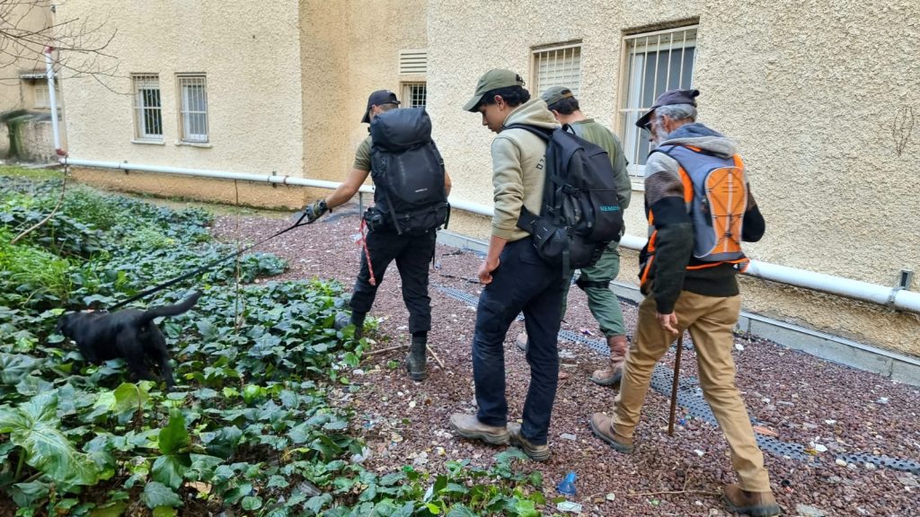 החיפושים אחר היימנוט קסאו | צילומים: יכ"ל